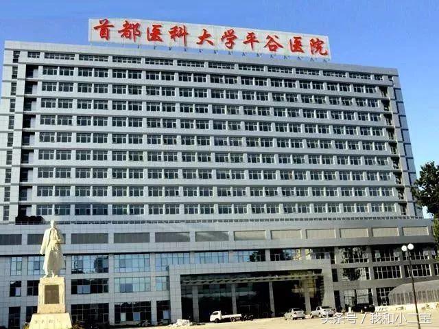 生活小贴士413,生活小贴士全部视频