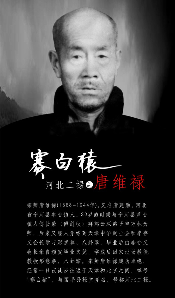 民国时期的武林高手真的厉害吗,逝去的武林哪个版本好