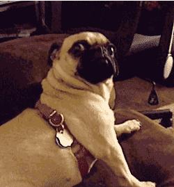 摩羯男变态占有欲,变态狂是天生的么