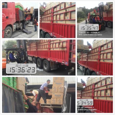 借势中国动漫第一IP,自带1800亿点击流量,这款乳酸菌引爆市场!