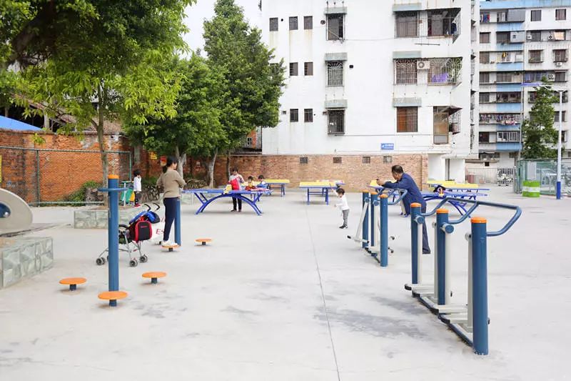 肇庆新区体育中心跑道开放吗,肇庆体育设施建设的对比与变化