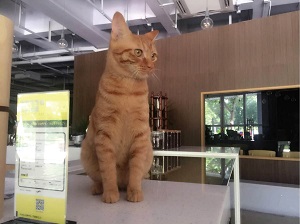 空间改变生活——重庆D7原·聚场的实验