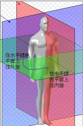 x型腿该如何改善o型腿,o型腿矫正纯干货分享