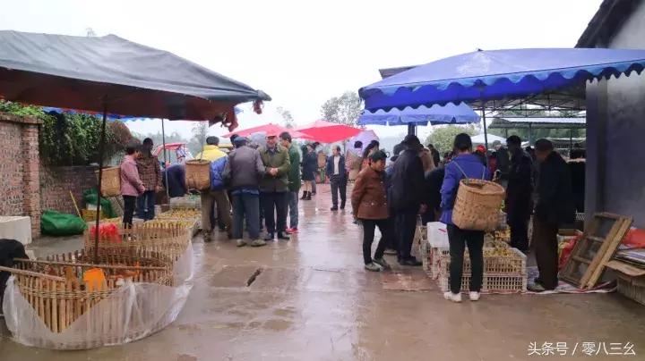 南溪长兴赶场,南溪区南溪镇赶集视频