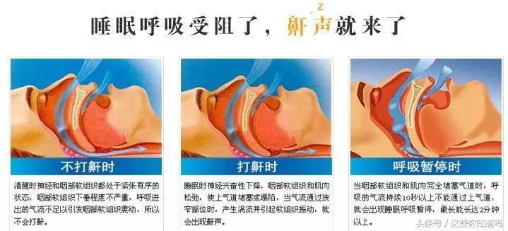 一起涨知识生活小常识,一起涨知识生活常识