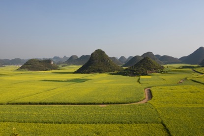 抗击肝癌最佳方案,抗肝癌良方