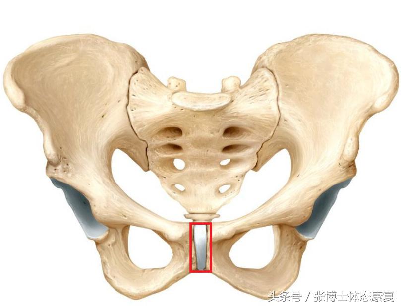 孕期运动操缓解坐骨神经痛,孕期缓解腰背运动操