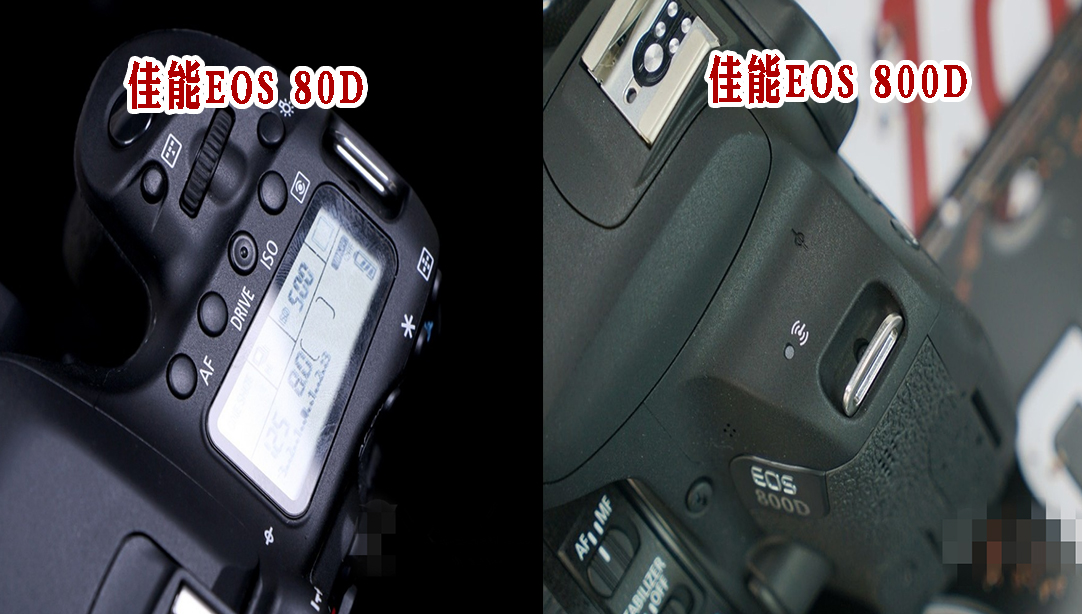 佳能单反EOS80D怎么样,佳能相机80d和800d哪个好