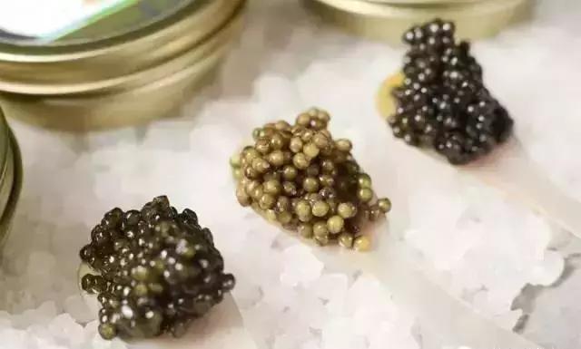 世界顶级鱼子酱多少钱一克,顶级鱼子酱一盎司多少钱