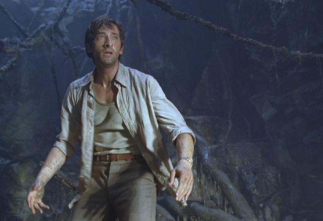 关于电影金刚的观后感,金刚电影中语录