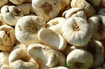 白山地区好的地方特产,白山特产有哪些值得买