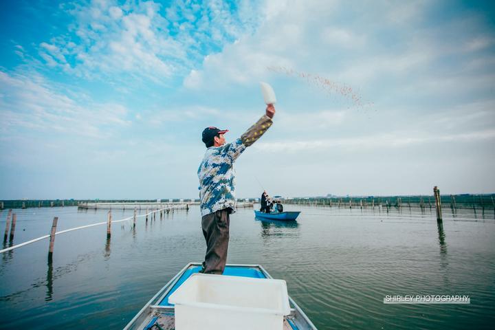 吃蟹游玩攻略,一场关于上海的旅行