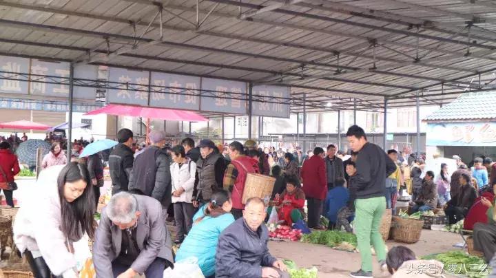 南溪长兴赶场,南溪区南溪镇赶集视频