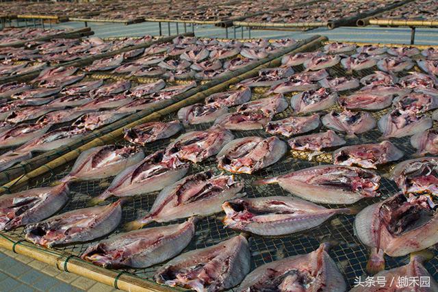 农民工在农村创业门路上干什么活,农民工创业前景