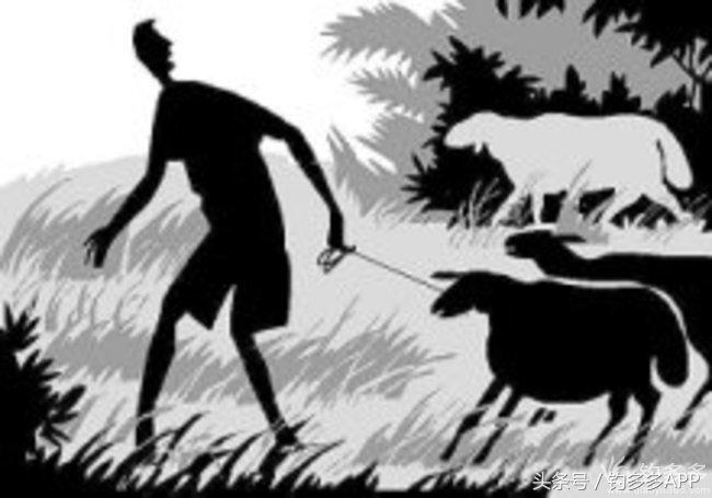 钓叟张演义第二回钓具DIY：擒黄颡首战告捷，失白翘再钓铩羽