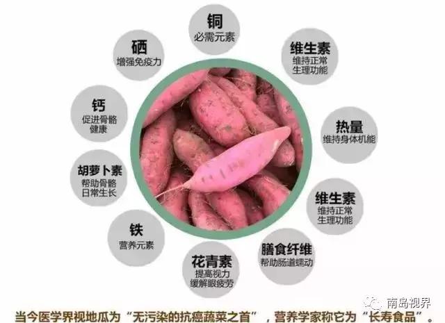 去海南必买的伴手礼,还在纠结送什么礼物吗