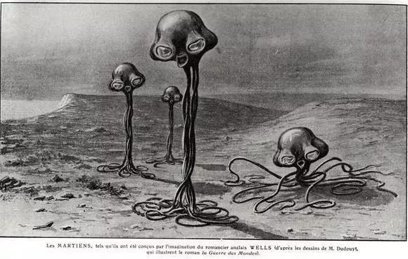 章鱼哥智商逆天,章鱼哥的智商退化视频