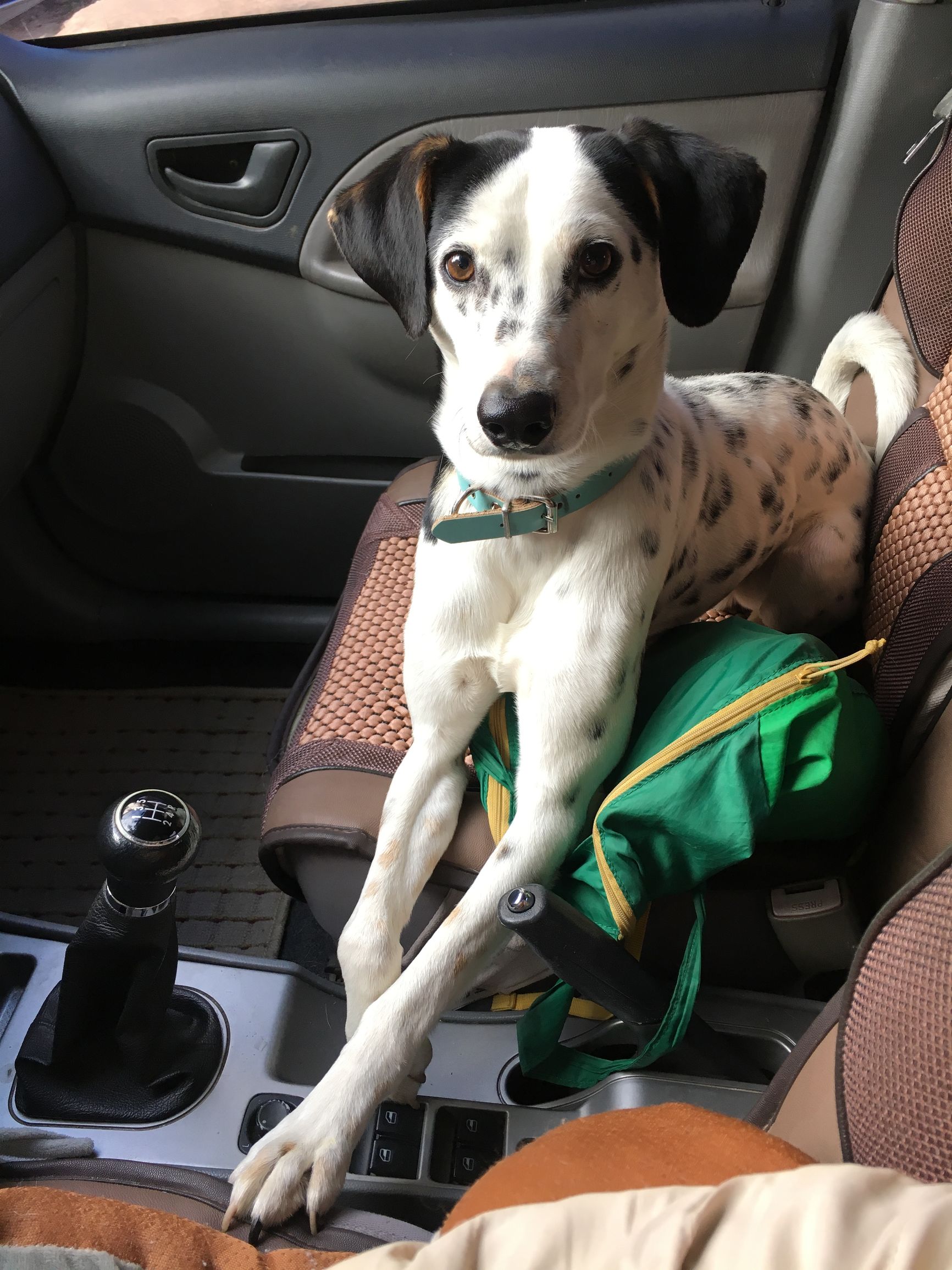 带你去看大理这些小众之地,大理二手家具旧货市场