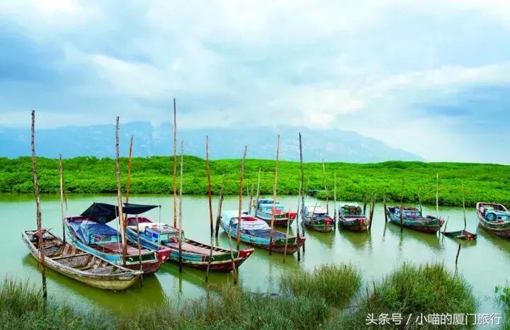 为漳州云霄美食打call,云霄食百味