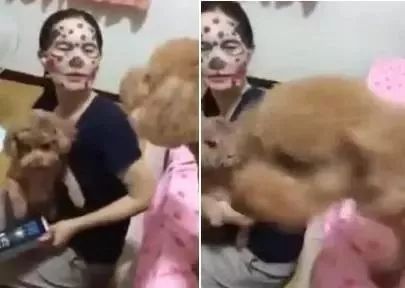 在家敷了片面膜，被狗子看到后，竟被...