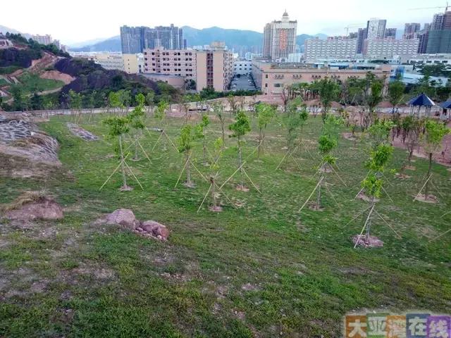 大亚湾万达广场新消息,大亚湾万达开业2017