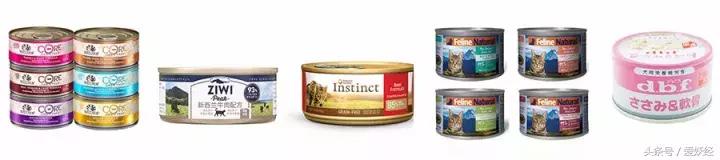 爱妖经|用这些拌饭料来制霸主子的味蕾