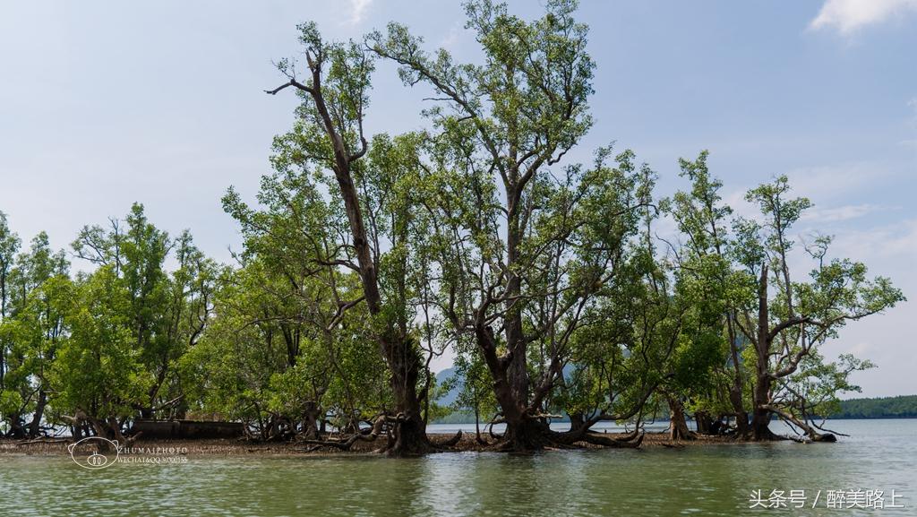泰国普吉游学吧,普吉岛回教小渔村