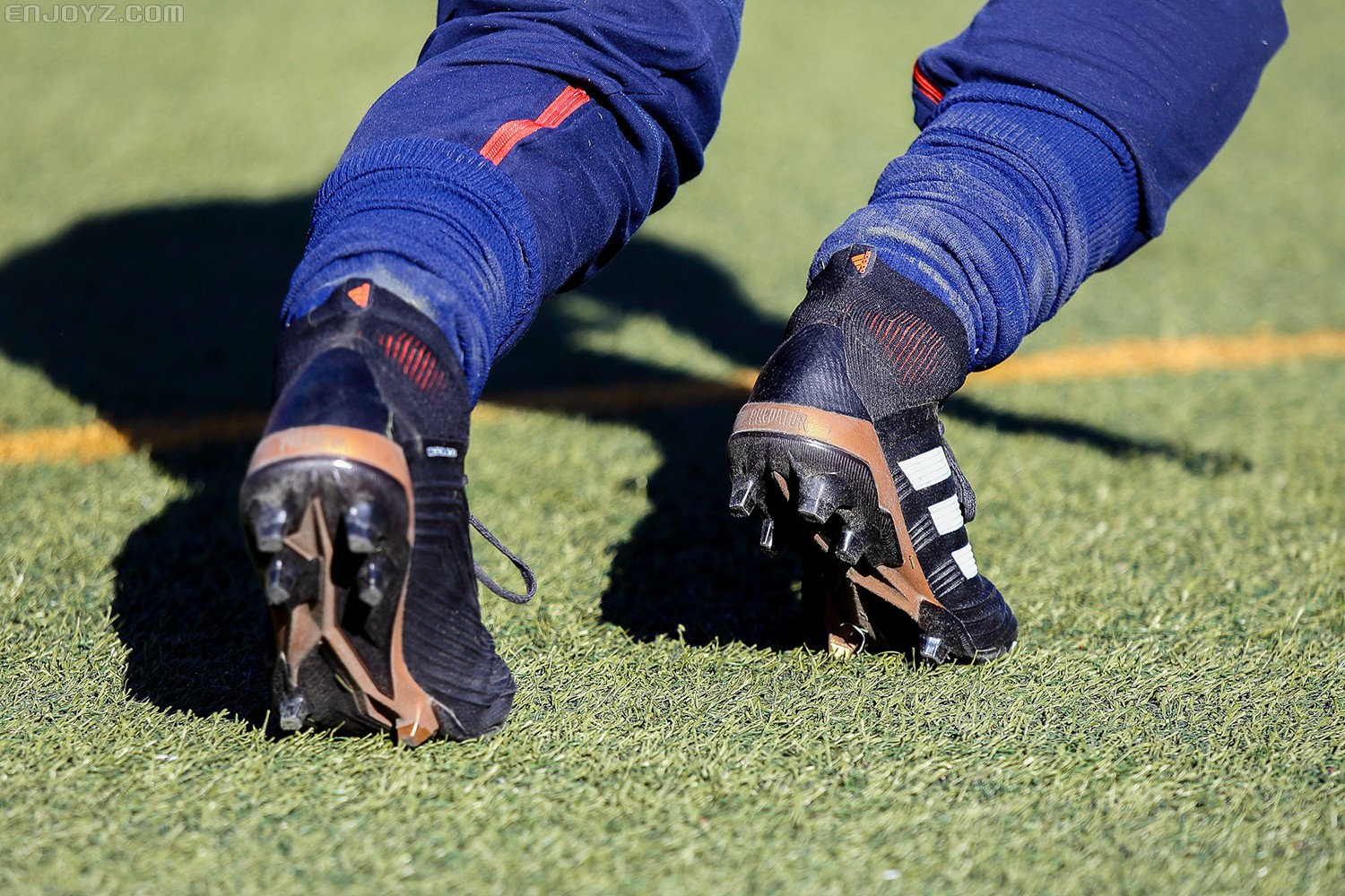 归来不凡,新猎鹰中端