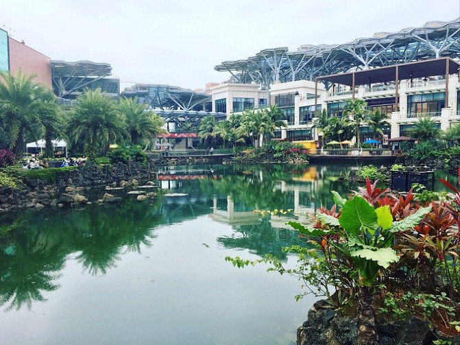 邂逅美丽椰城海口自由行攻略,海南岛自驾游摘椰子