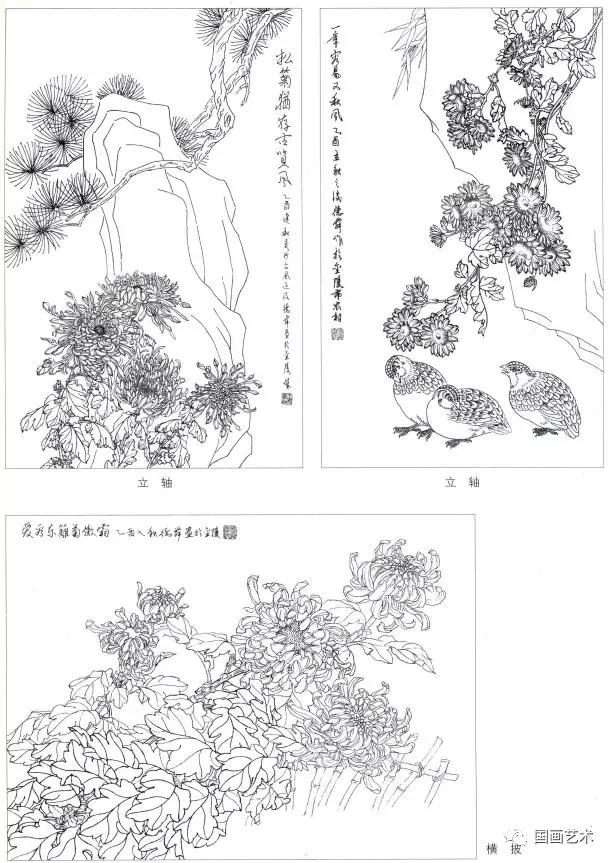 工笔菊花画法步骤示范,工笔菊花设色步骤