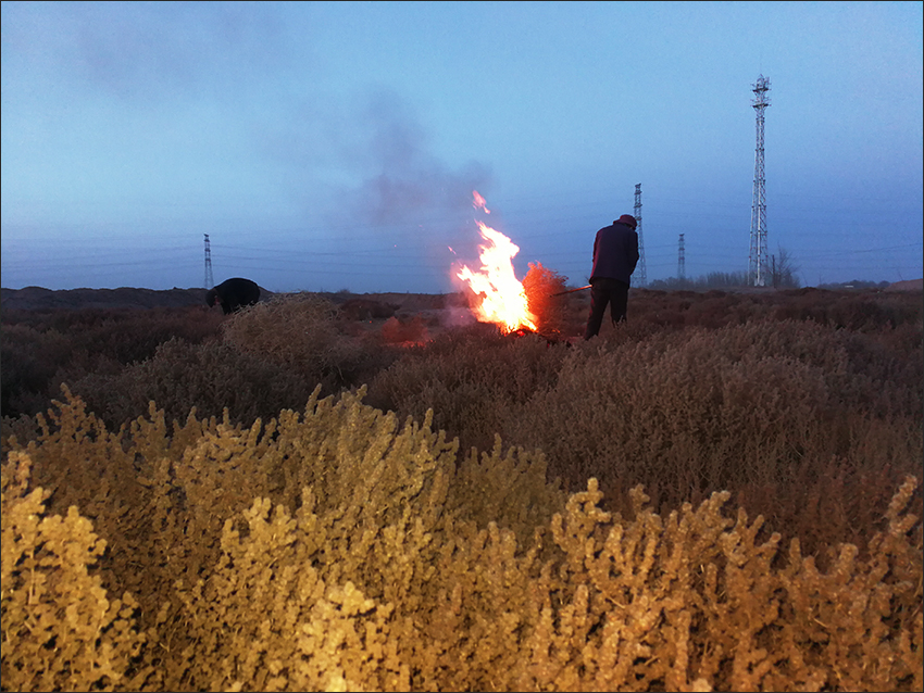 蓬灰是这样烧制出来的,烧制蓬灰水农村怎样熬制