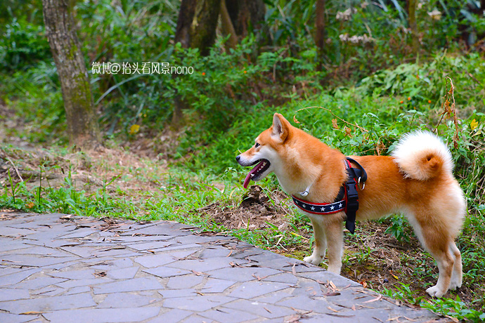 在台北101大楼看台北全景,在台北101大楼顶层看视频