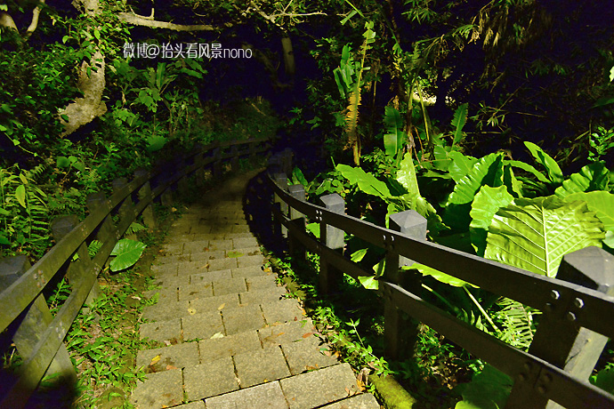 台北象山夜景最美的地方,台北象山夜景