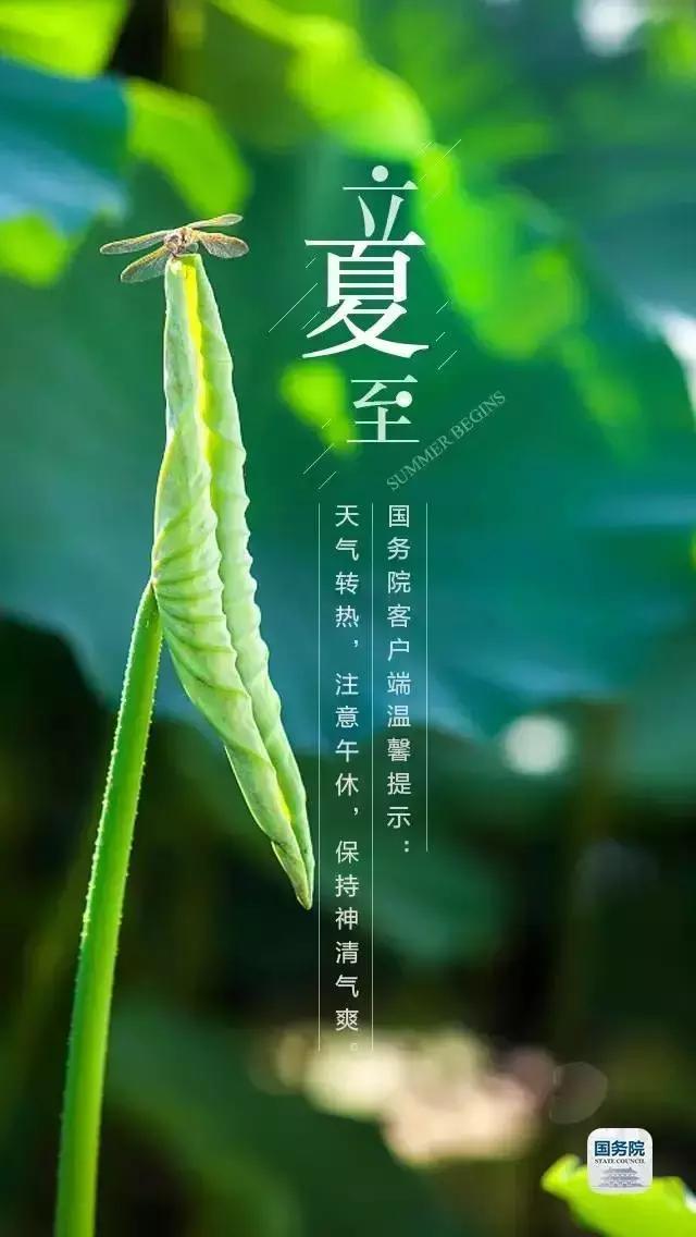 一张图上包含二十四节气壁纸,高清中国插画二十四节气壁纸