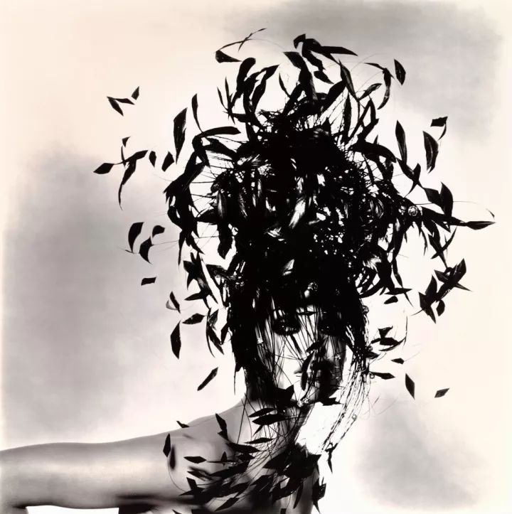 欧文佩恩摄影大师,欧文佩恩高清大图