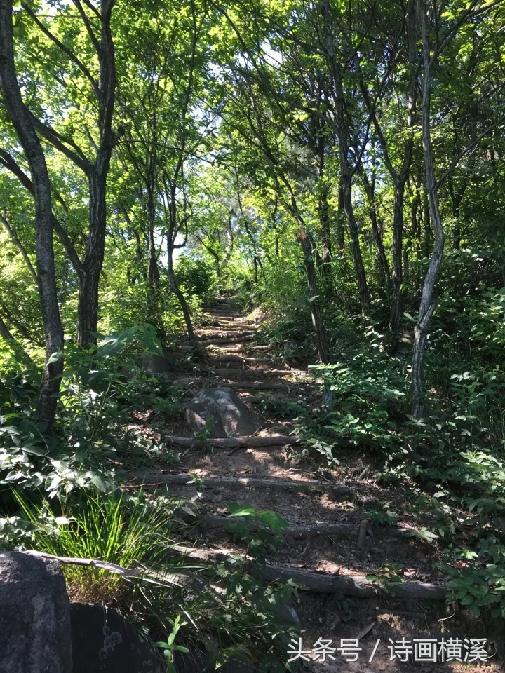 金华登山景点,金华适合爬山景点排名
