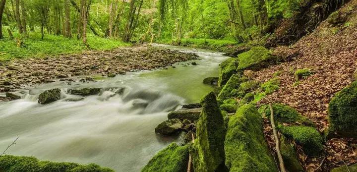 为宁波这位设计师打call！竟然重现著名诗人笔下的鸟鸣山更幽……