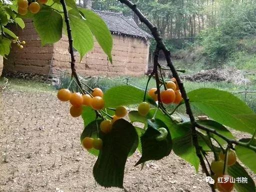 王金梁：外婆家纪事