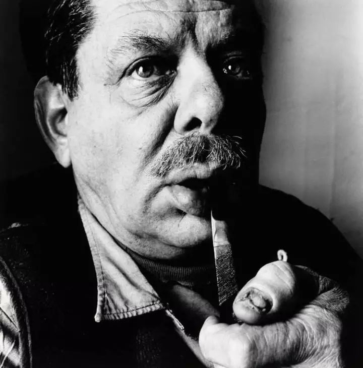 欧文佩恩摄影大师,欧文佩恩高清大图