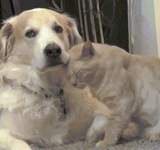 姣忔棩绗戞姤鐖嗙瑧璇綍,姣忔棩绗戞姤2014