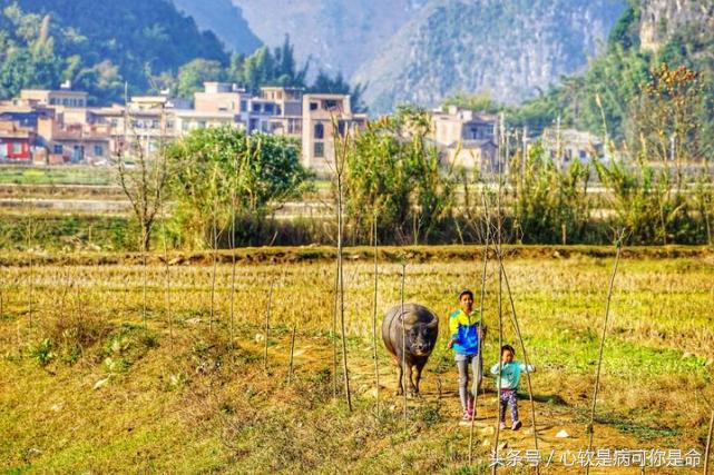 坝美世外桃源简介,坝美世外桃源旅游怎么样
