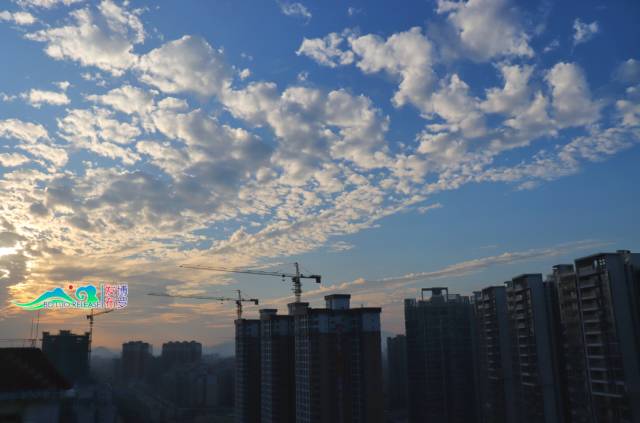 手机看着看着就蓝屏了,点开你的照片手机就死机了