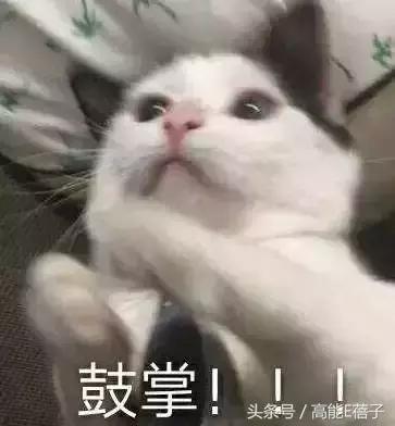 高甜校草范世錡示范男友正确打开方式偶像剧也能看出演技？