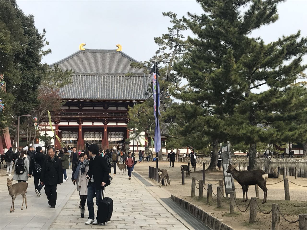 日本关西美食攻略,跟我游旅游攻略