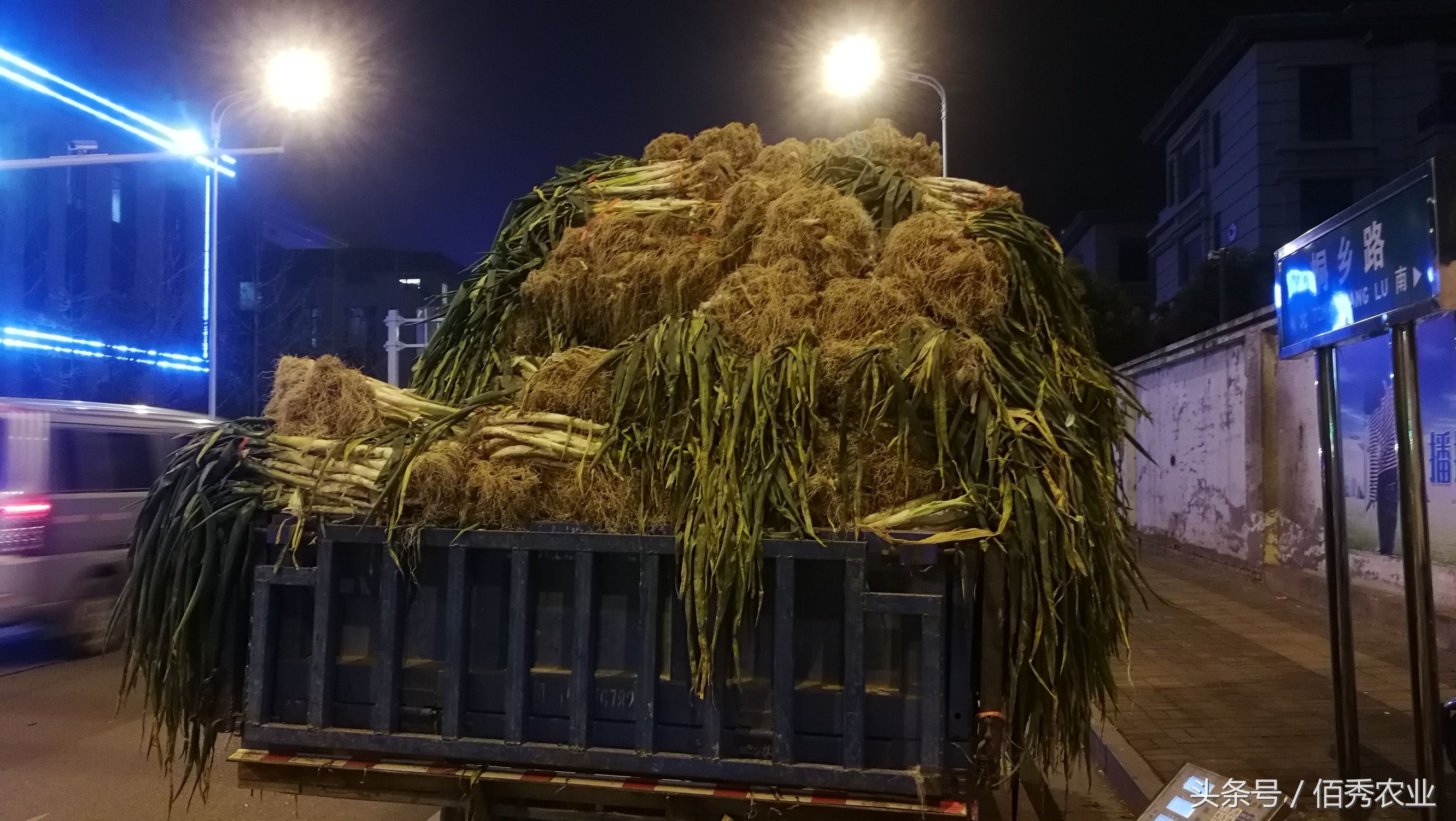 乡村路边摆摊卖水果经验,小伙摆摊卖葱一小时赚100元