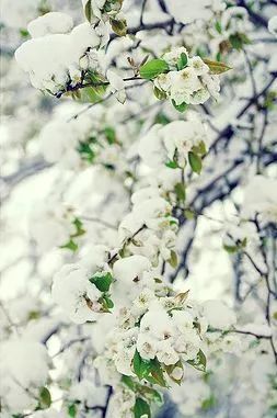 今日立冬品读最美的十首节气诗词,节气物语今日立冬