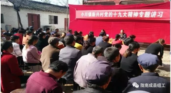 认真贯彻学习党的二十大精神,基础党支部学习十九大精神