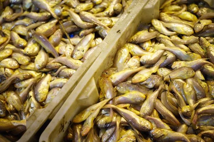 上海吃海鲜必去的地方推荐,距离上海2小时内车程的景点