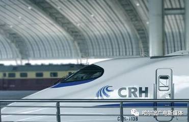 泔水猪、地沟油都跟这有关！哈市多部门联合执法夜查“泔水车”｜早安，哈尔滨！