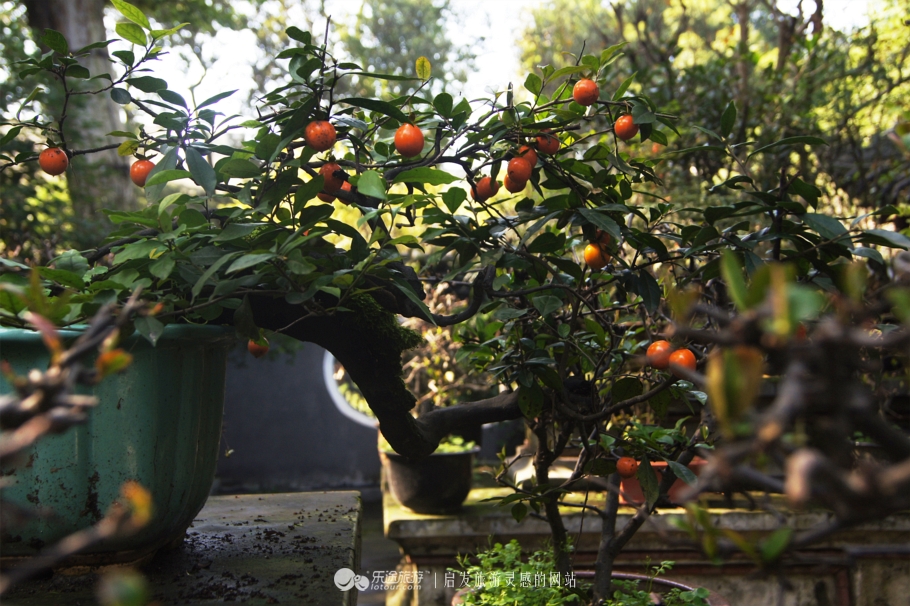 罨画池为什么是红楼梦拍摄地,罨画池红楼梦照片